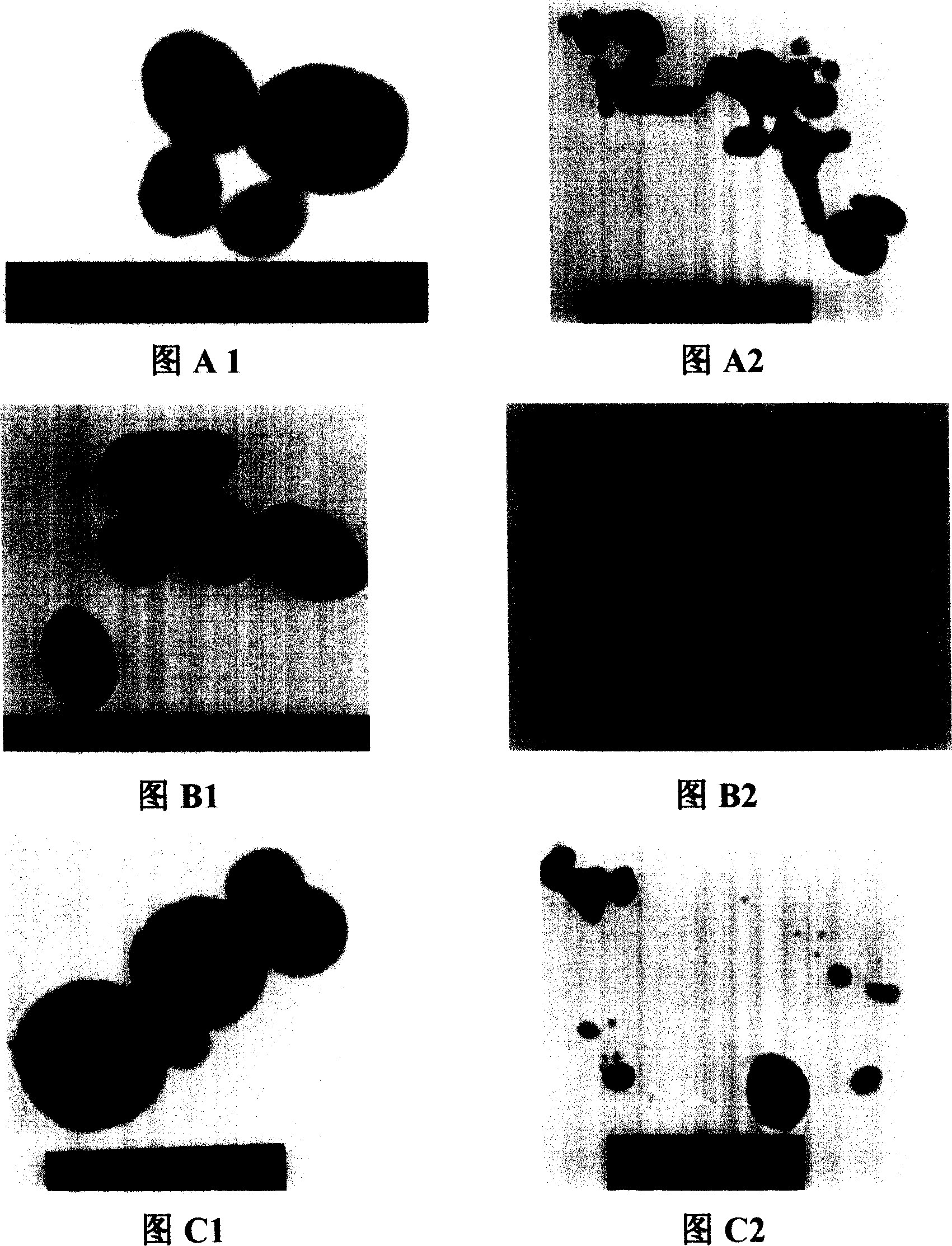 Liquid vitamic C compounded nanometer elementary selenium its preparation method and storage method