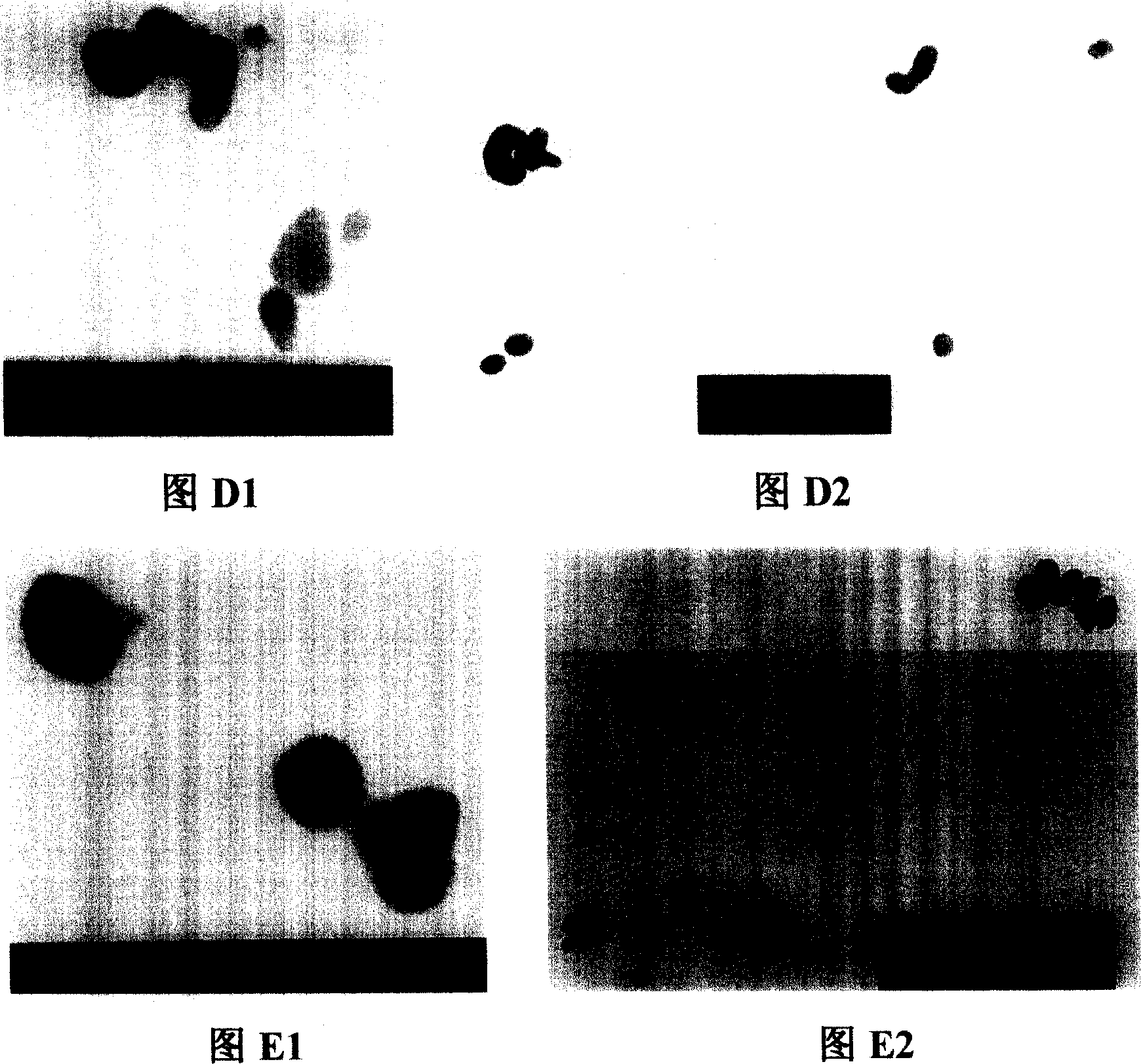 Liquid vitamic C compounded nanometer elementary selenium its preparation method and storage method