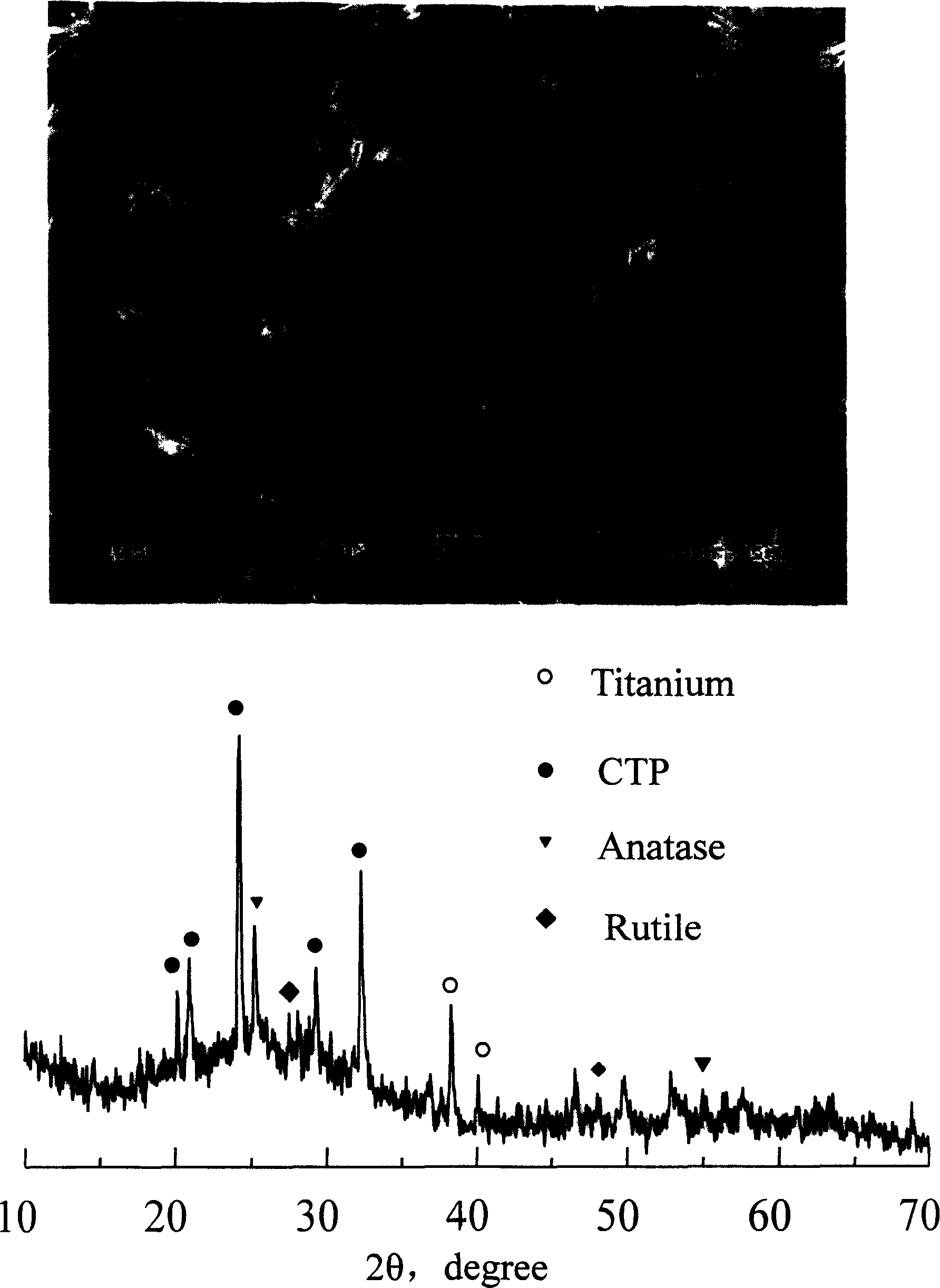 Method for preparing bioceramic membrane