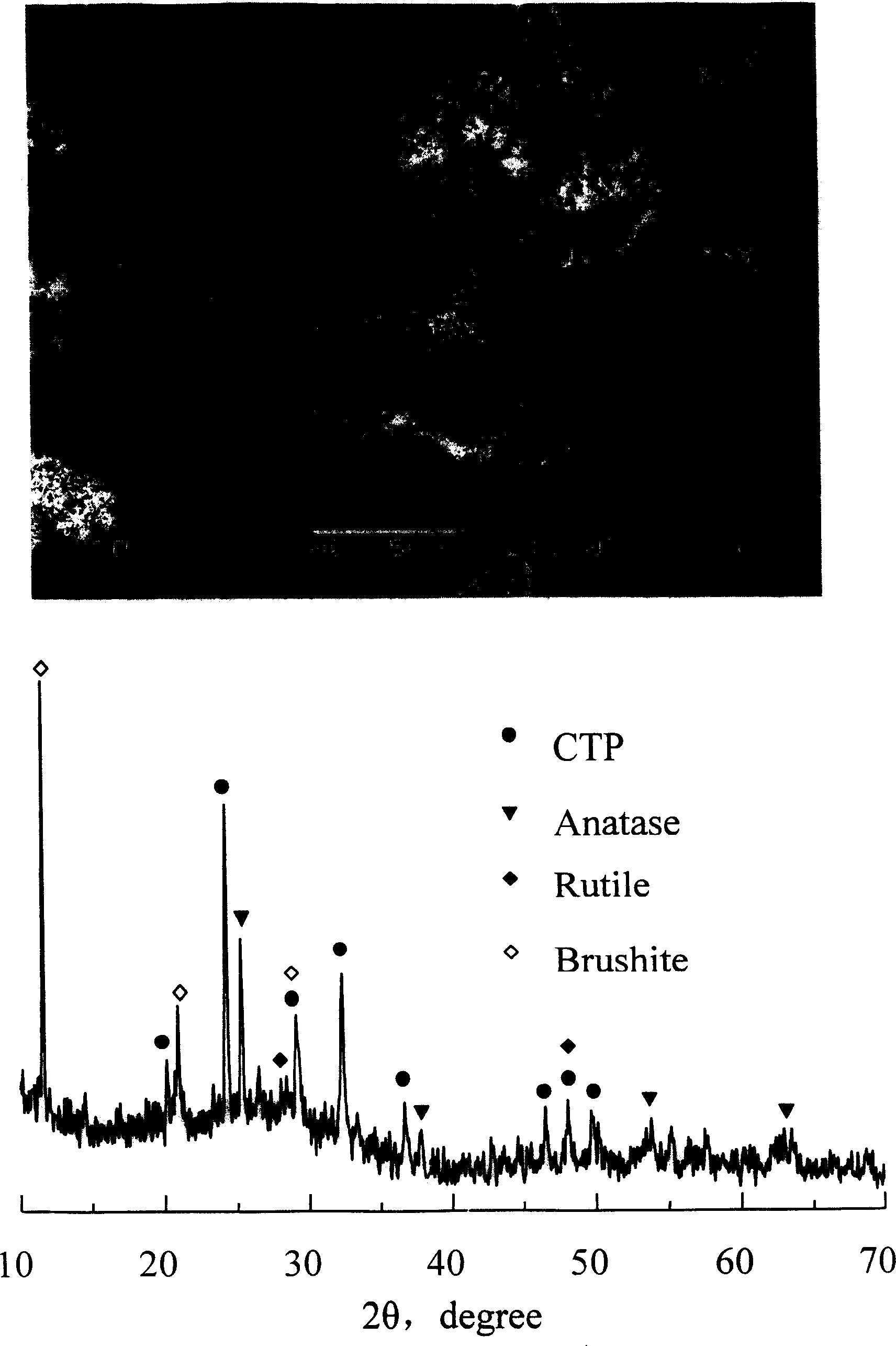 Method for preparing bioceramic membrane