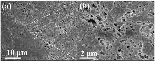 Method for preparing high thermoelectric performance silver selenide/nylon flexible composite film