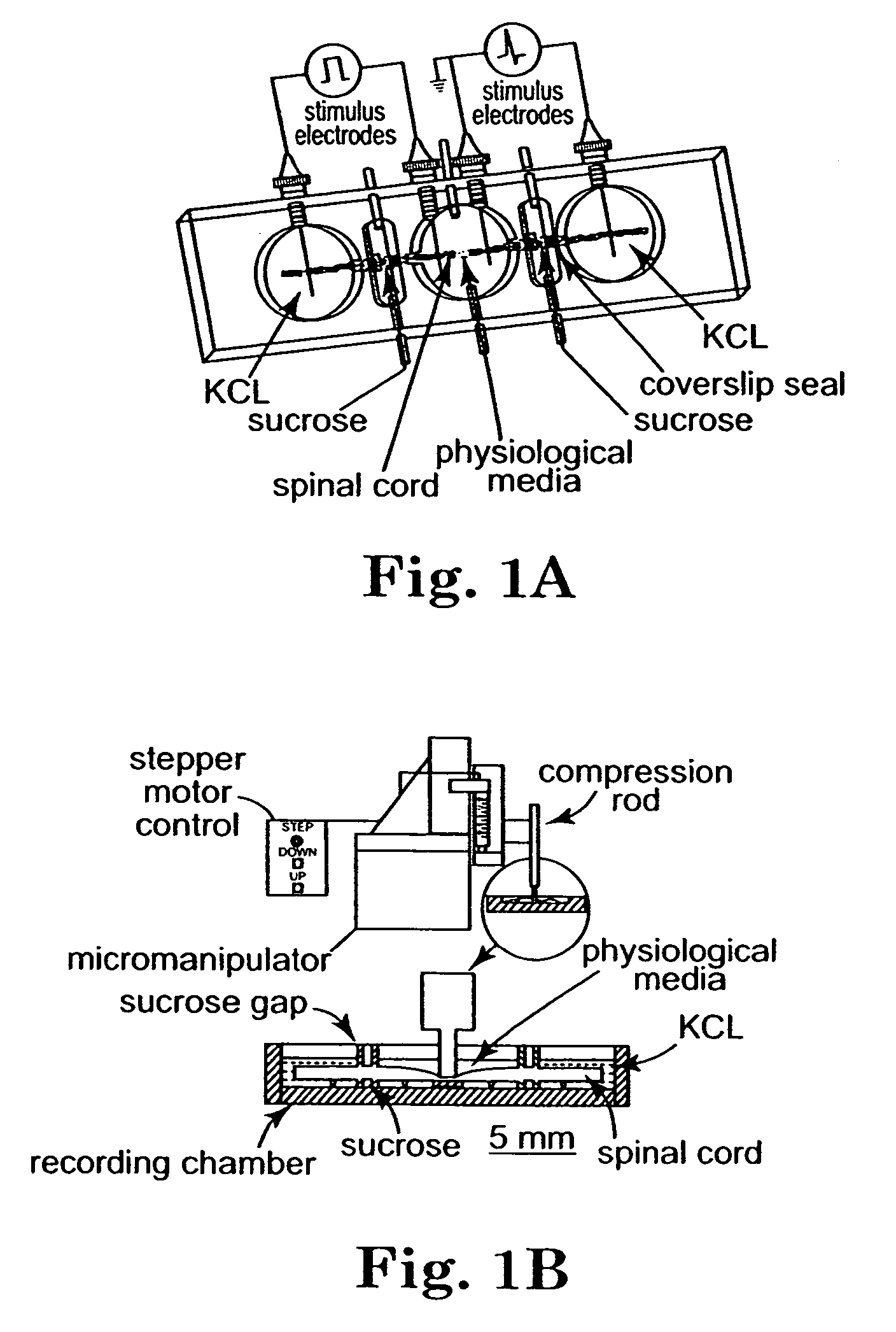 Methods and compositions for treating mammalian nerve tissue injuries