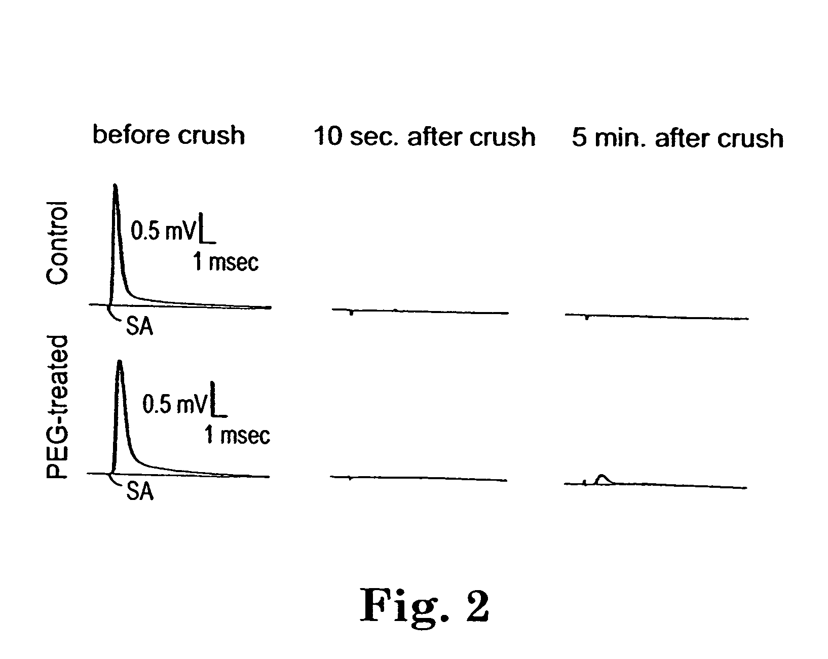 Methods and compositions for treating mammalian nerve tissue injuries