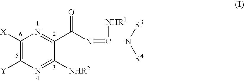 Soluble amide & ester pyrazinoylguanidine sodium channel blockers