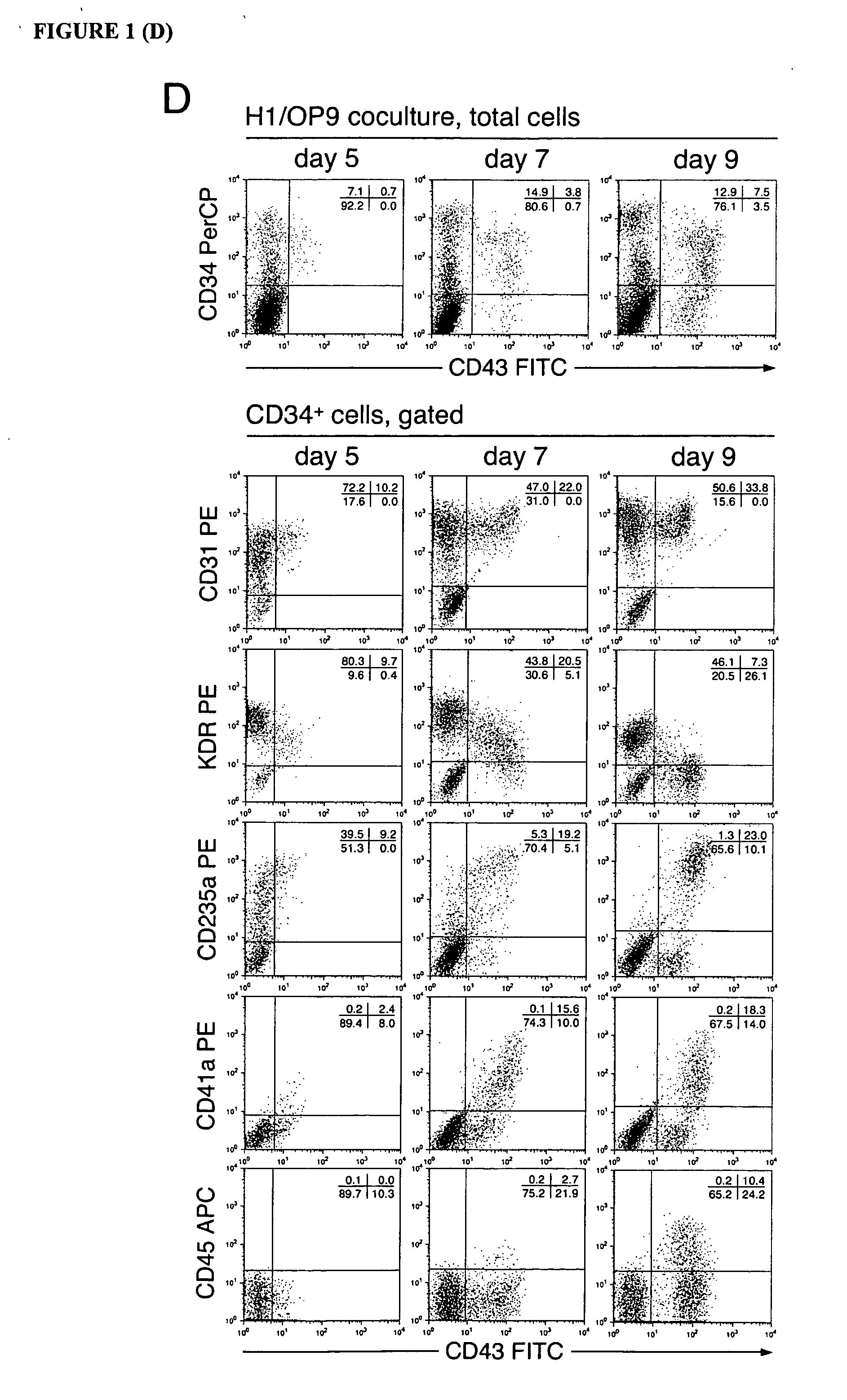 Multipotent lymphohematopoietic progenitor cells