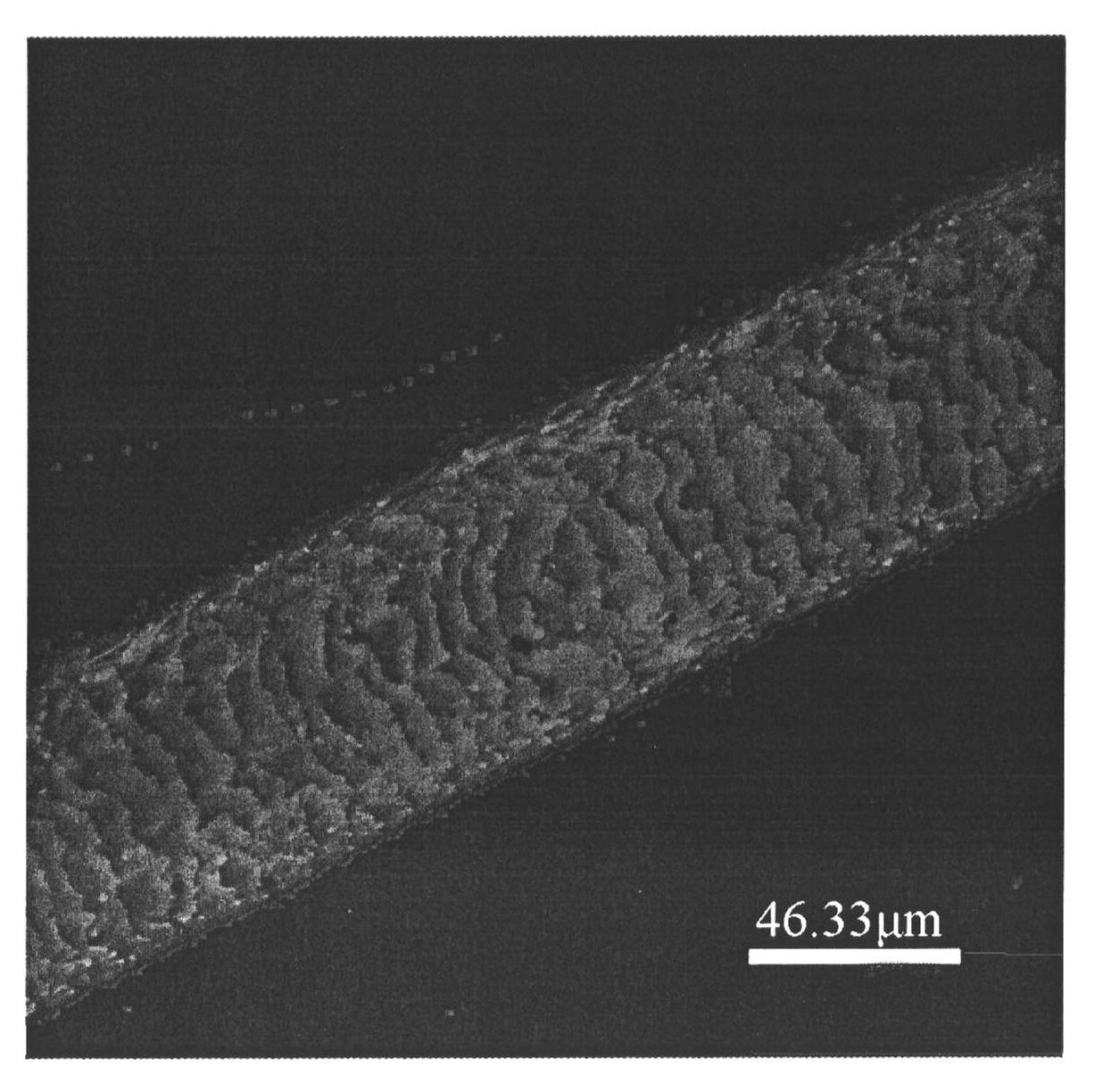 Laser scanning confocal microscope-based hair imaging method