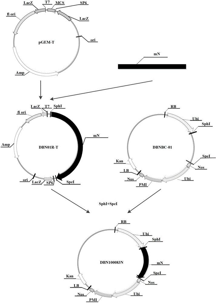 Insecticidal protein, and coding gene and use thereof