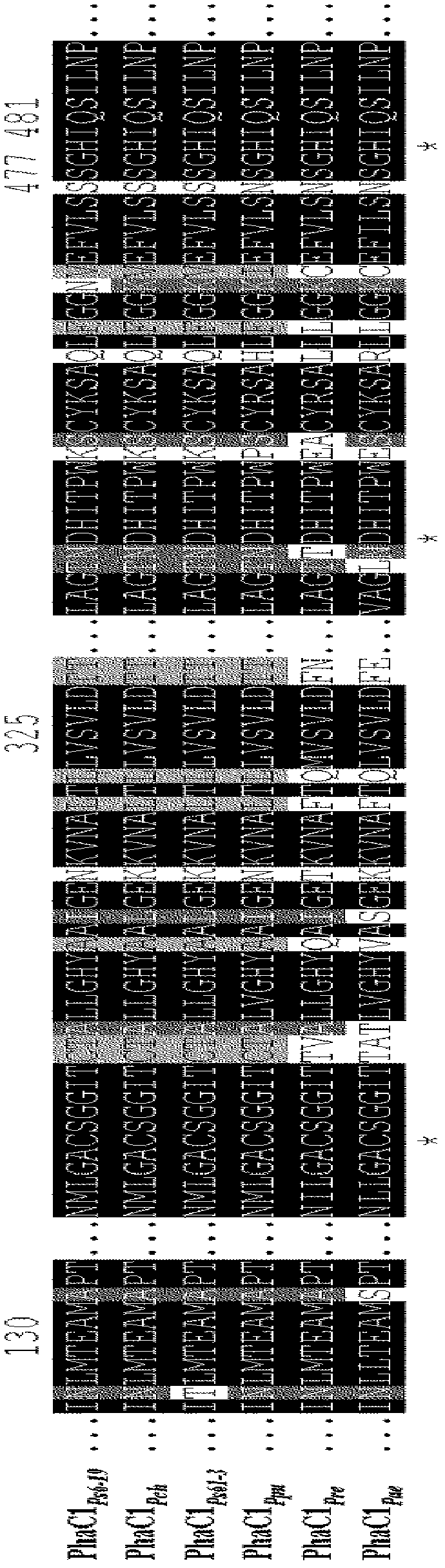 Preparation method of lactate polymers and lactate copolymers using polyhydroxyalkanoate synthase mutants