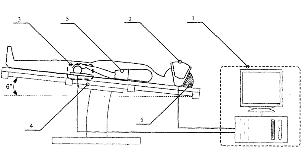 A method and system for in-cabin navigation simulation of a space station based on head-down bed rest