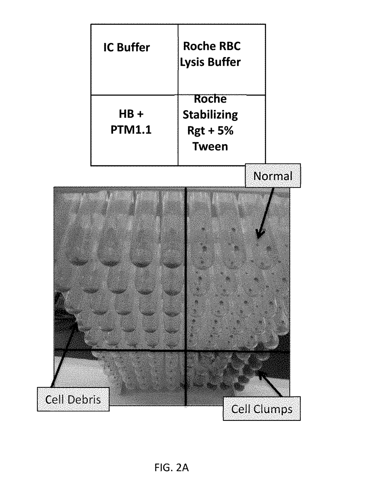 Red blood cell lysis solution