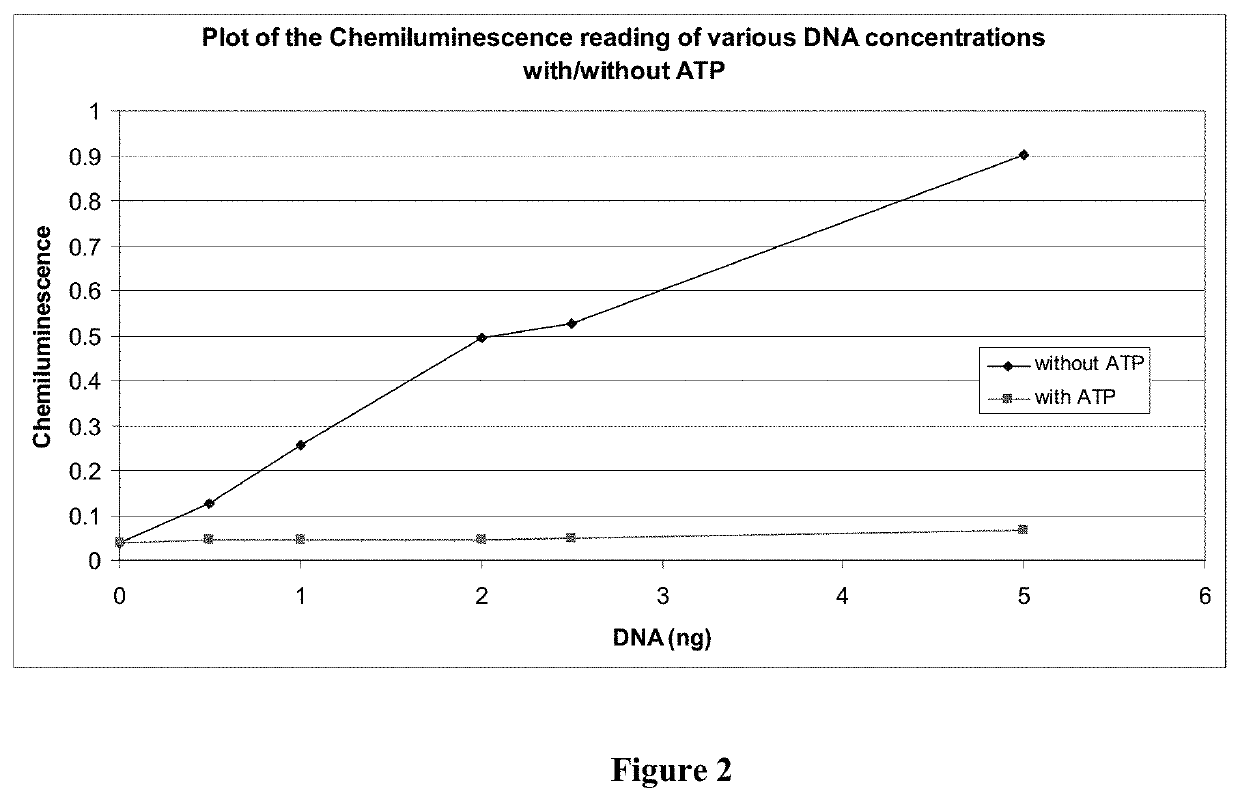 DIAGNOSTIC AND THERAPEUTIC FOR THE IDENTIFICATION AND TREATMENT OF SARS-CoV-2