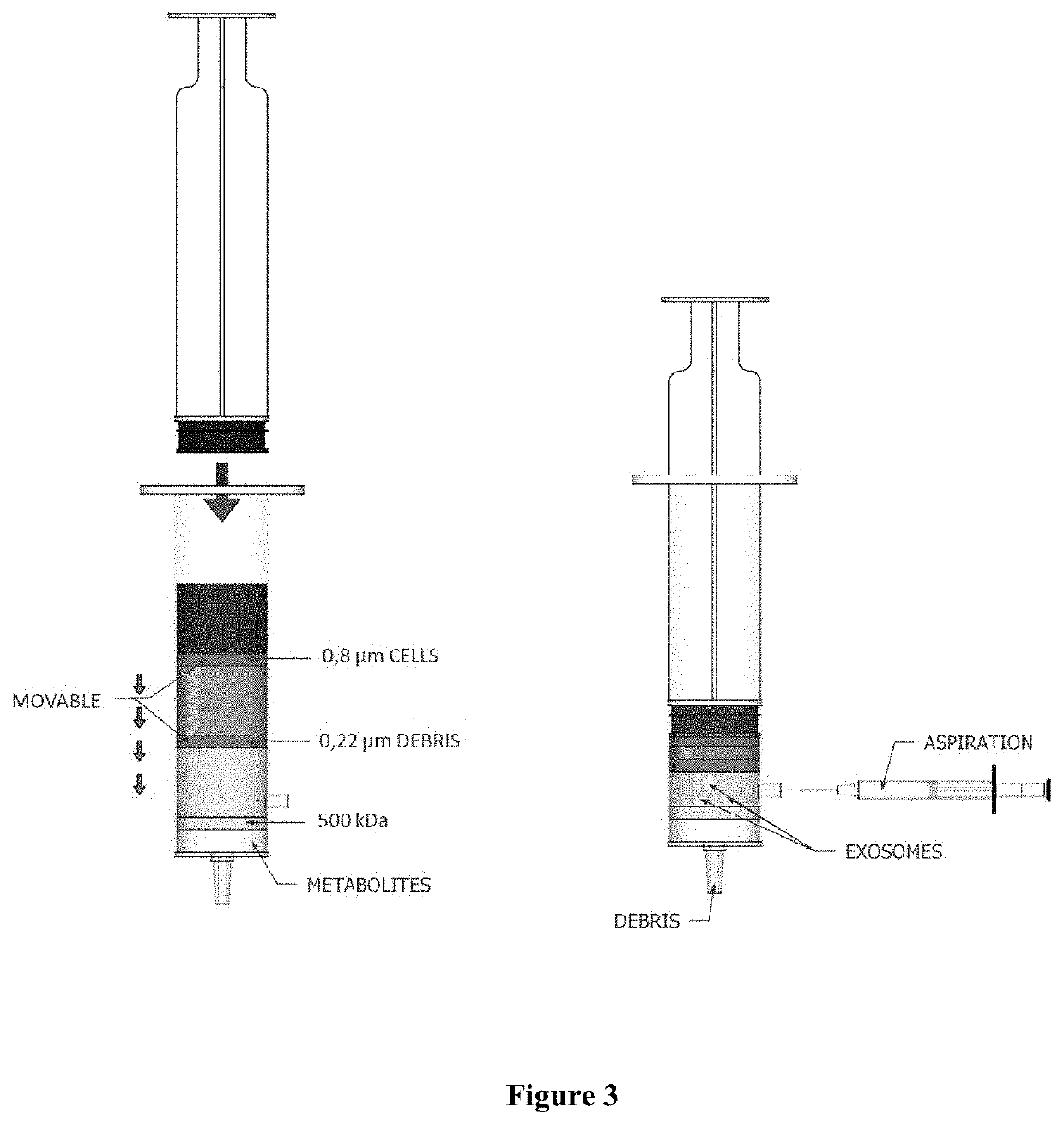 DIAGNOSTIC AND THERAPEUTIC FOR THE IDENTIFICATION AND TREATMENT OF SARS-CoV-2