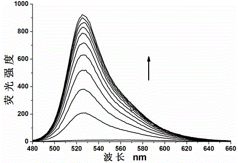 A kind of fluorescent probe and its preparation method and application