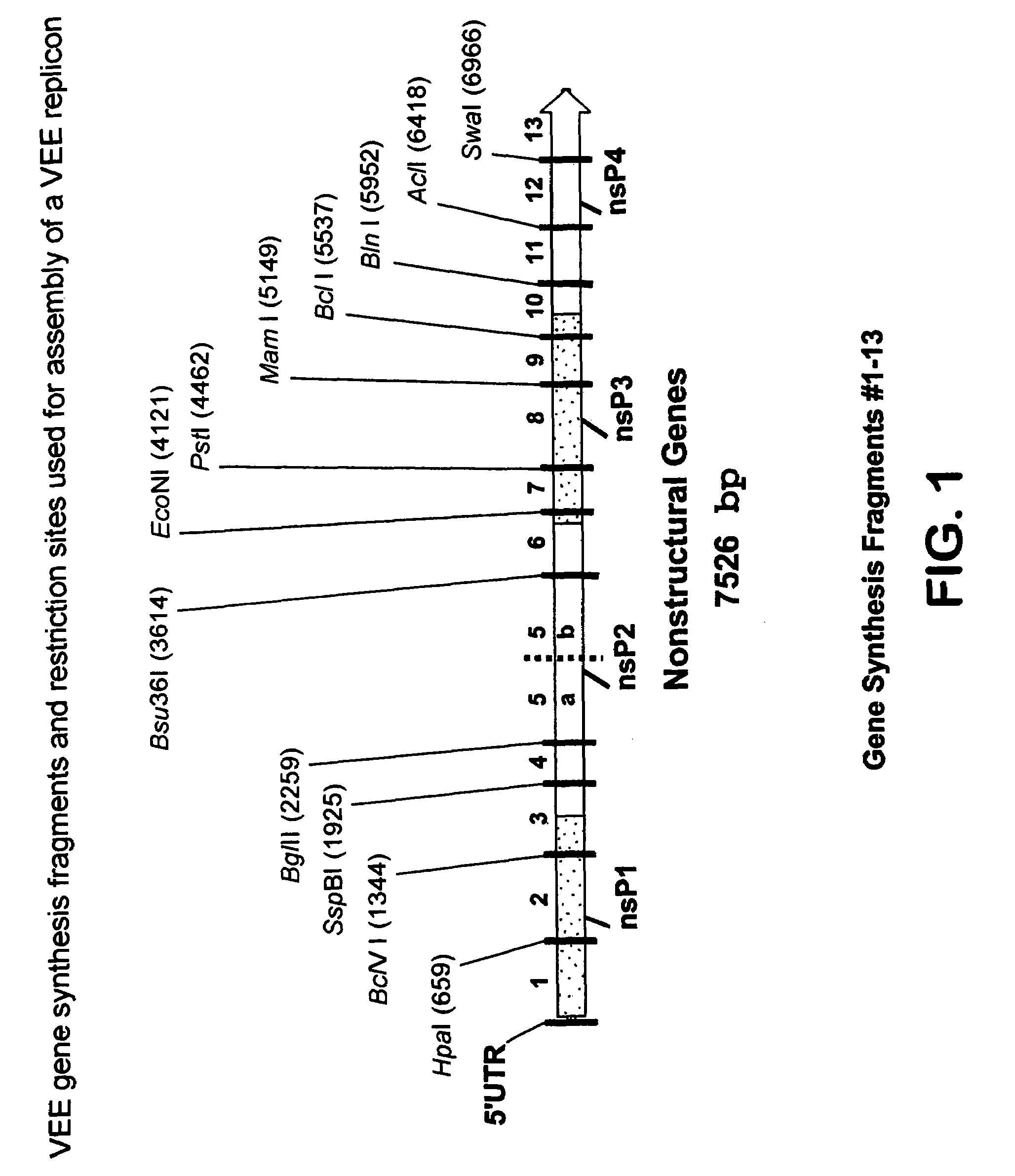 Chimeric alphavirus replicon particles