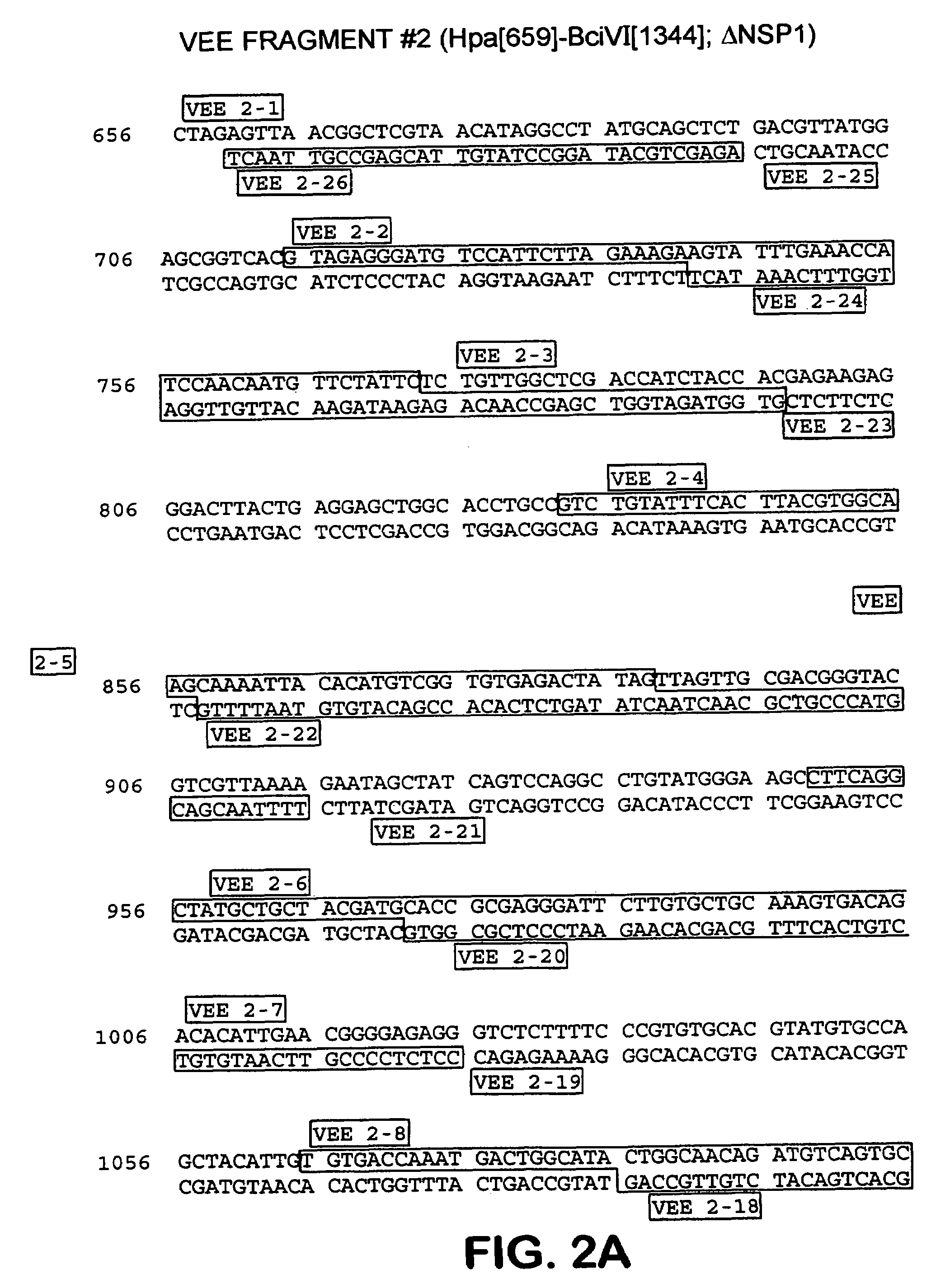 Chimeric alphavirus replicon particles