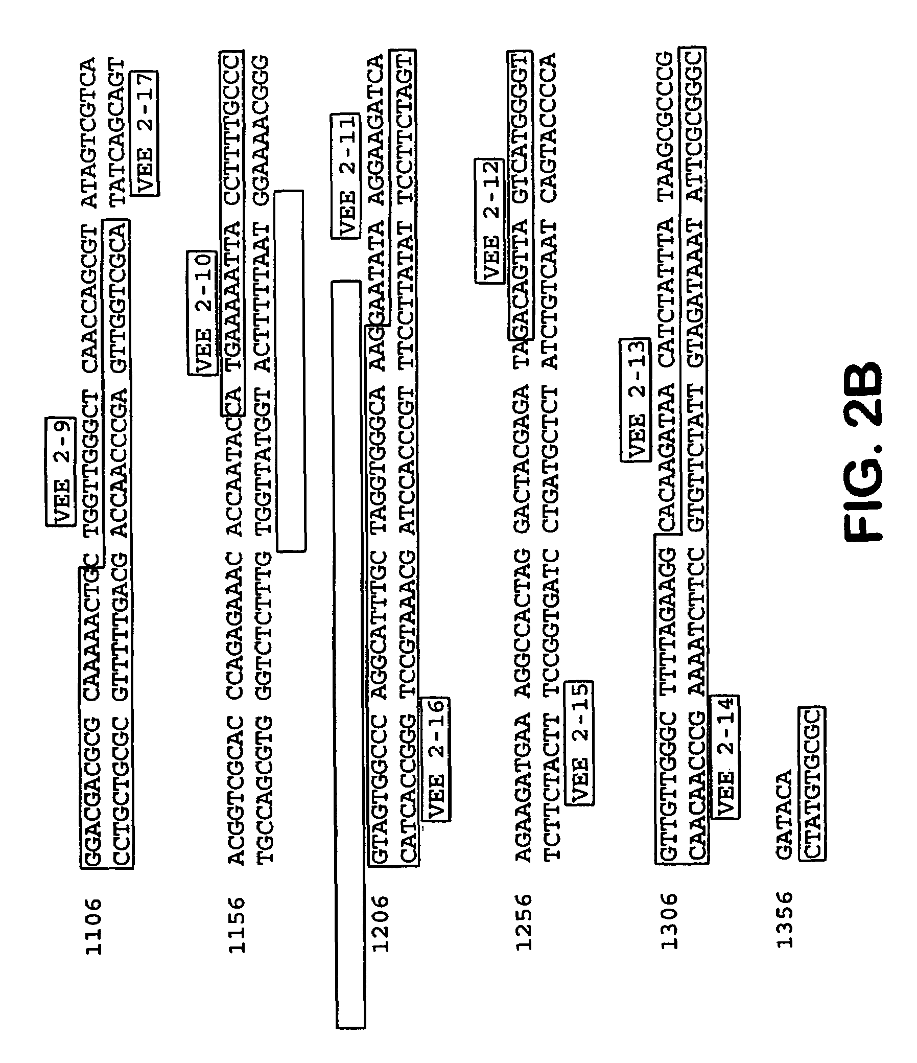 Chimeric alphavirus replicon particles