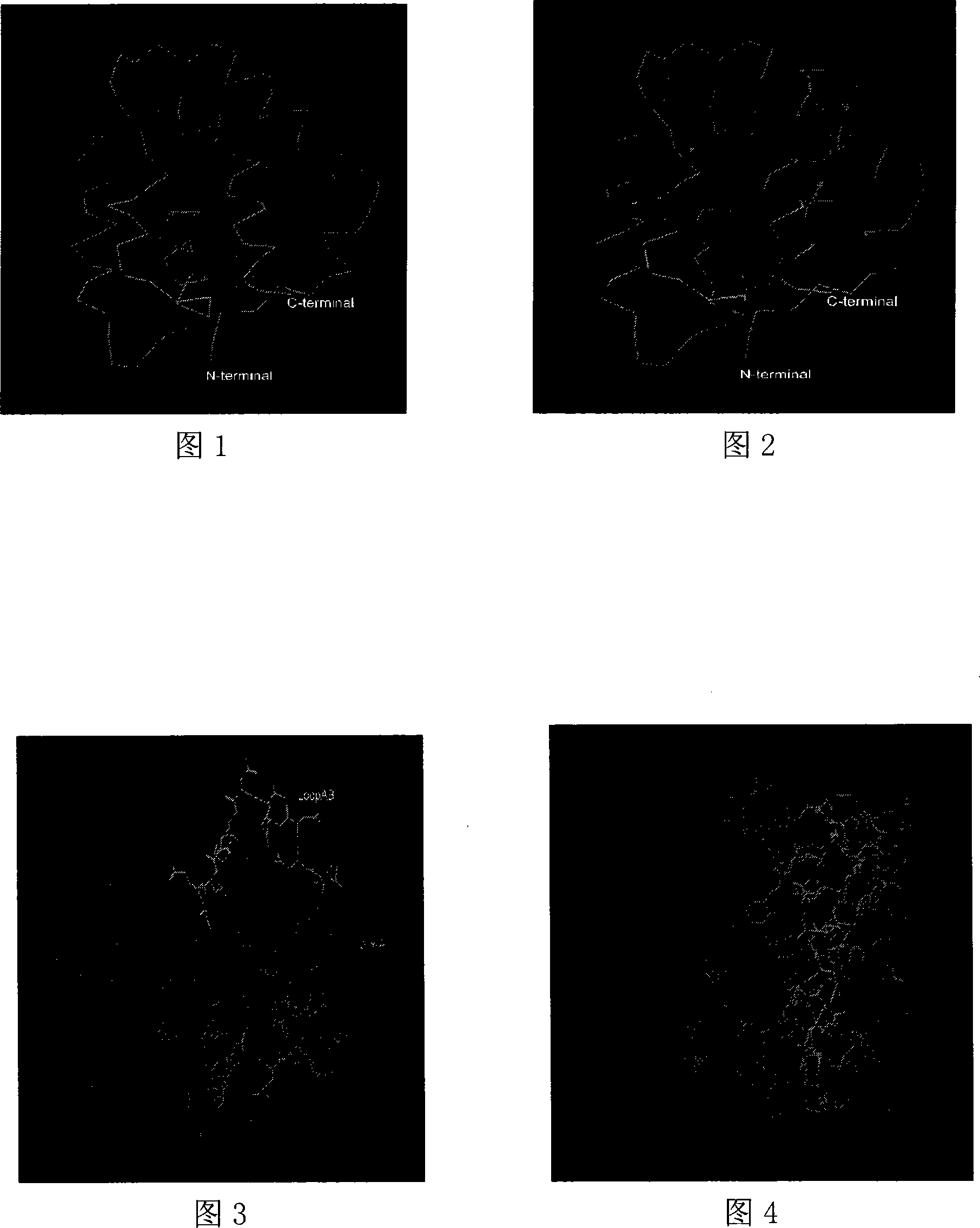 Human interleukins-22 mutant as well as construction method and use thereof