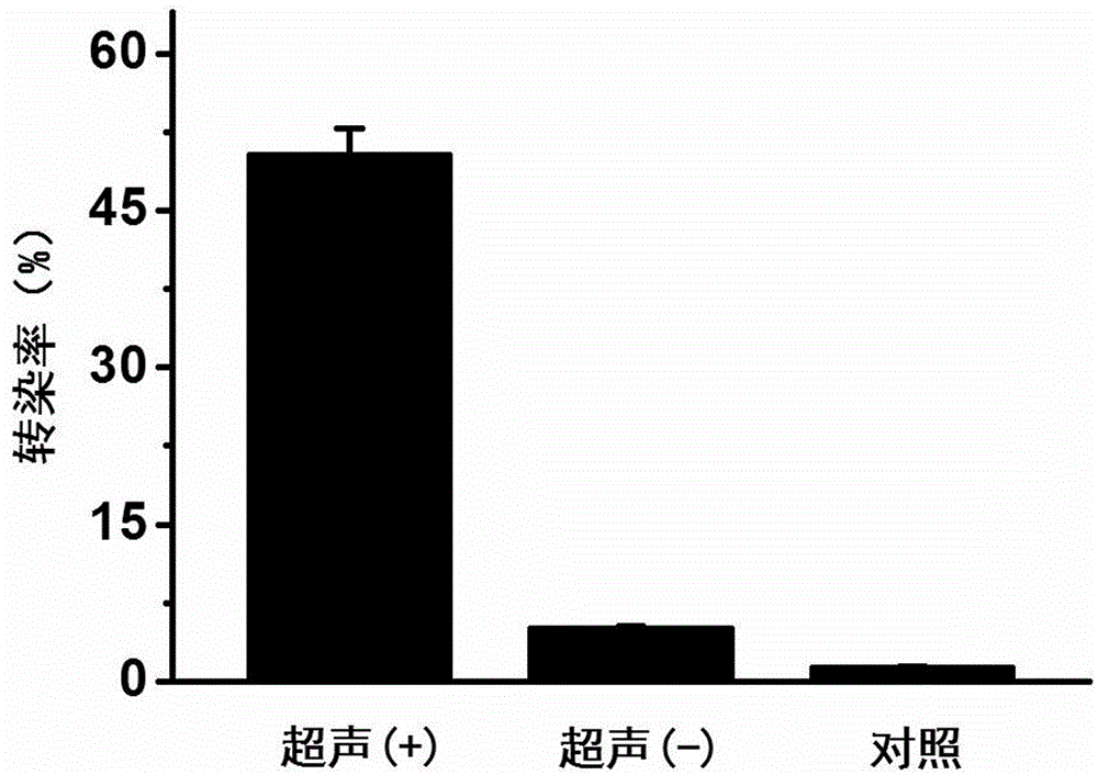 Load small interfering RNA nanoscale lipid microbubble ultrasonic contrast agent and preparation method