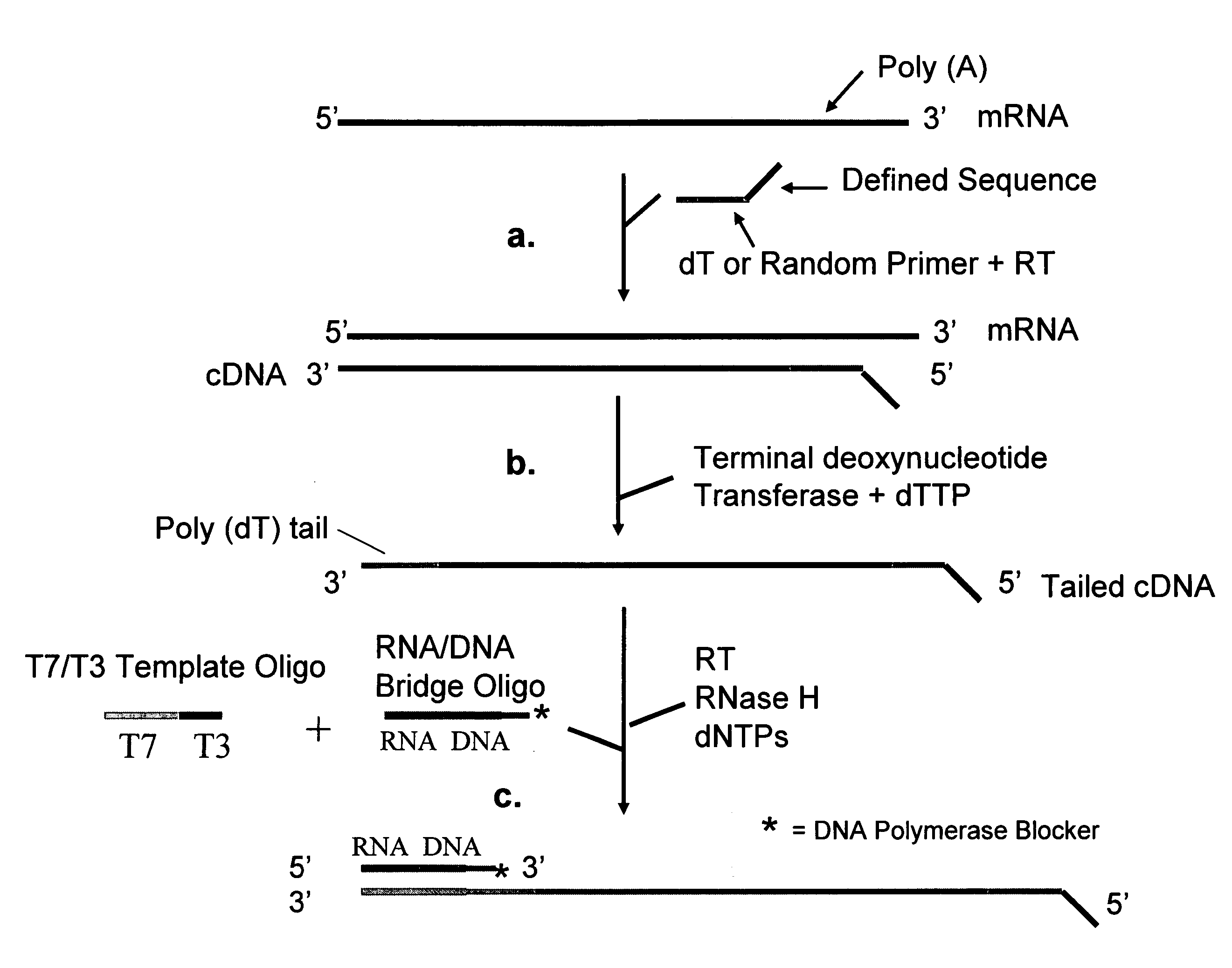 Methods and kits for sense RNA synthesis