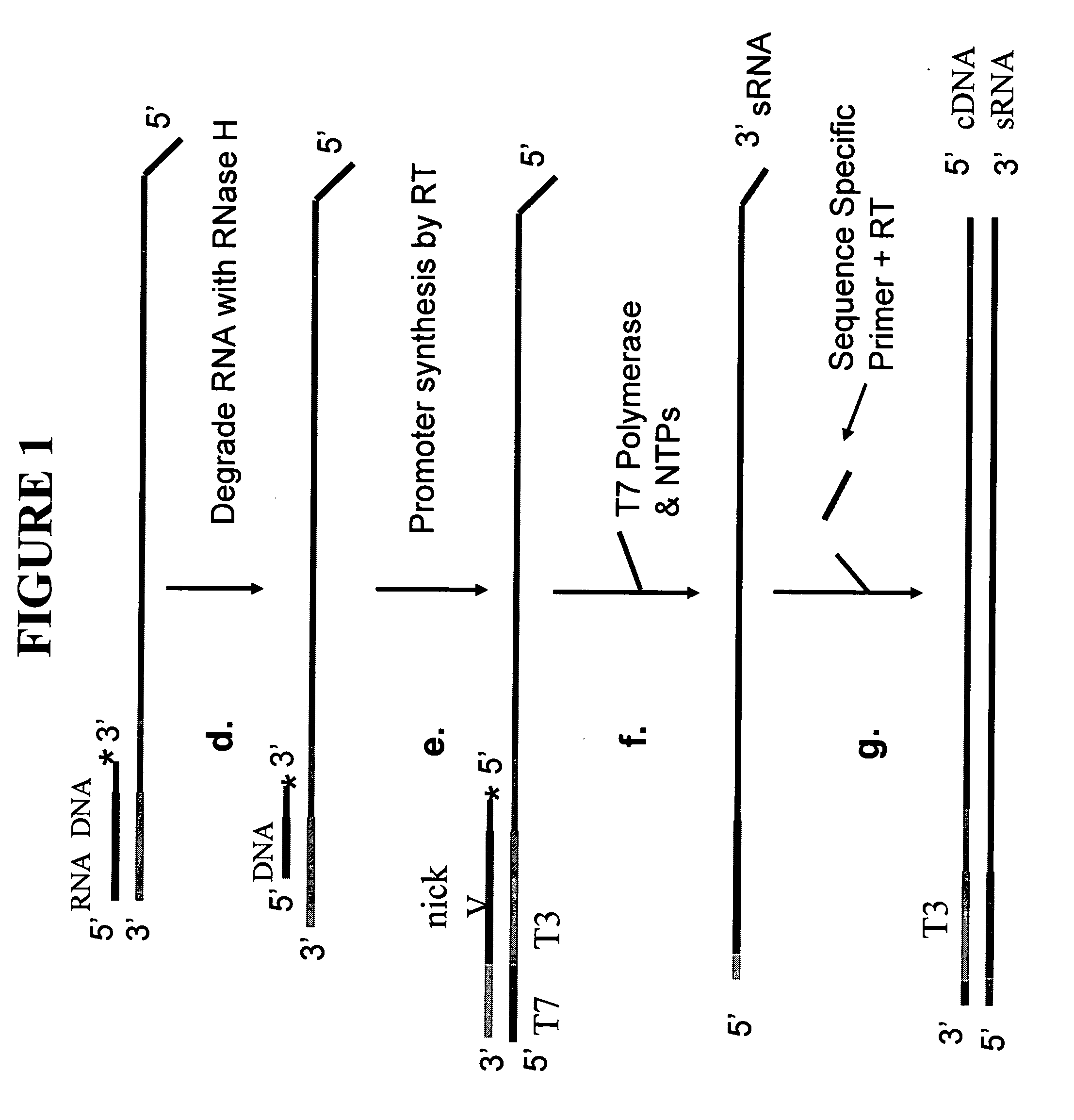 Methods and kits for sense RNA synthesis