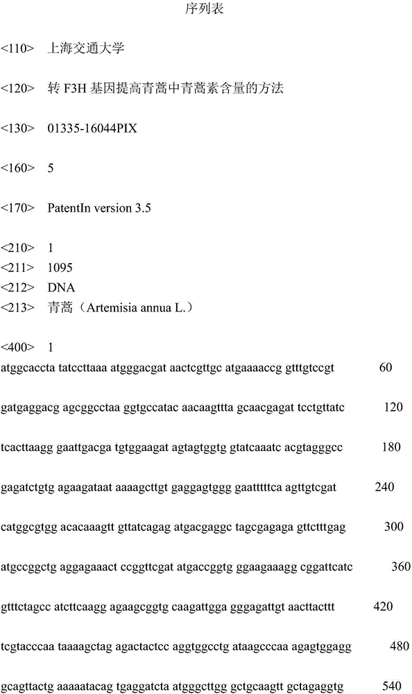 Method for improving content of artemisinin in sweet wormwood herb through transferring F3H gene