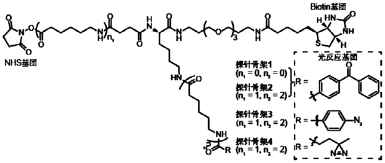 Probe and application thereof