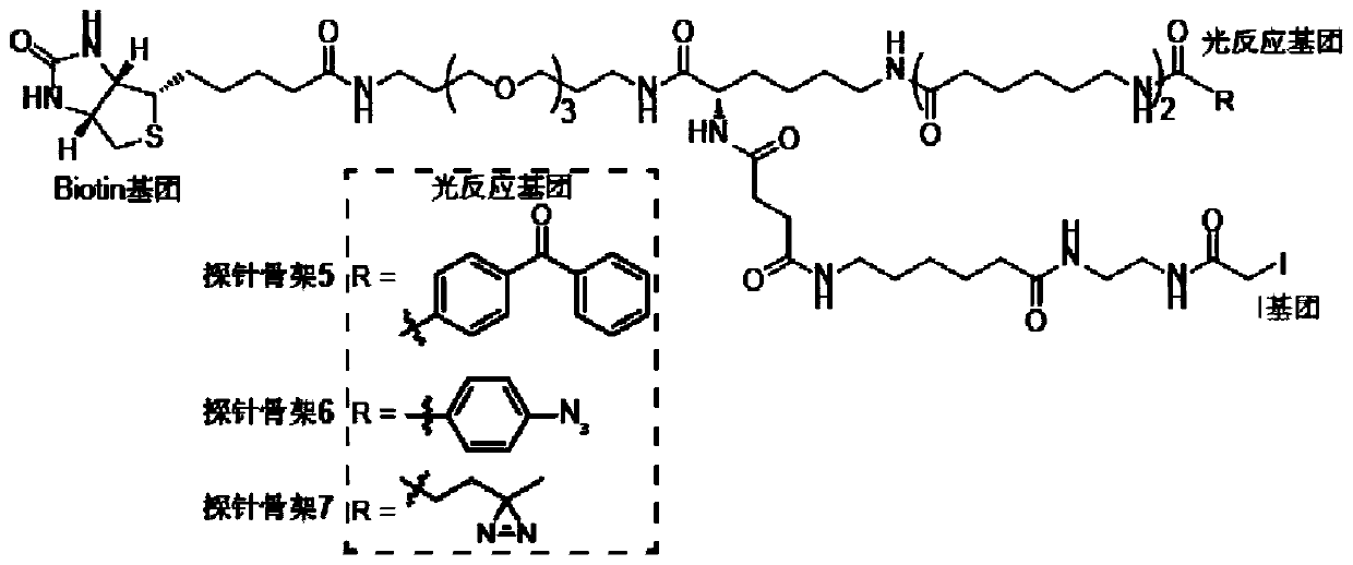 Probe and application thereof