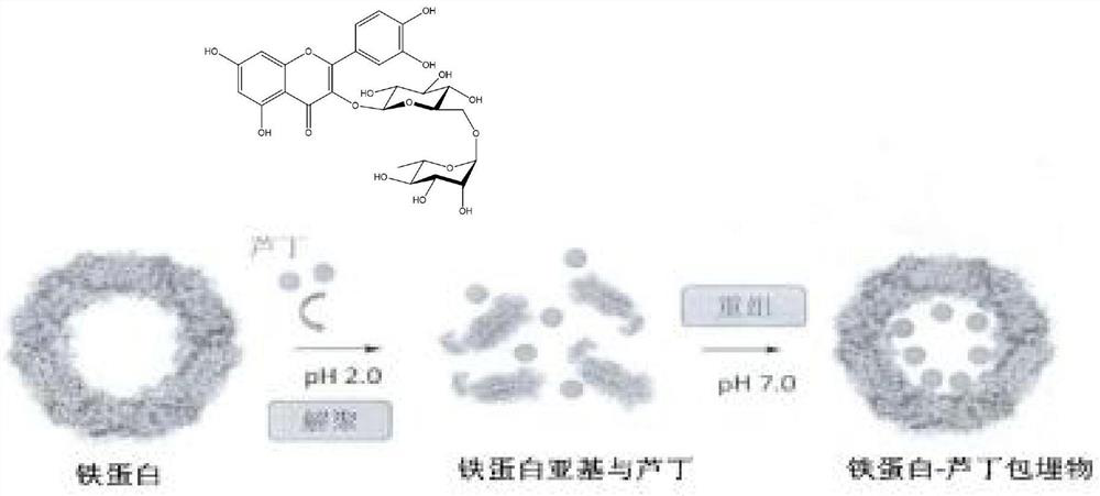 Processing method of multi-nutrient concentrated haw juice