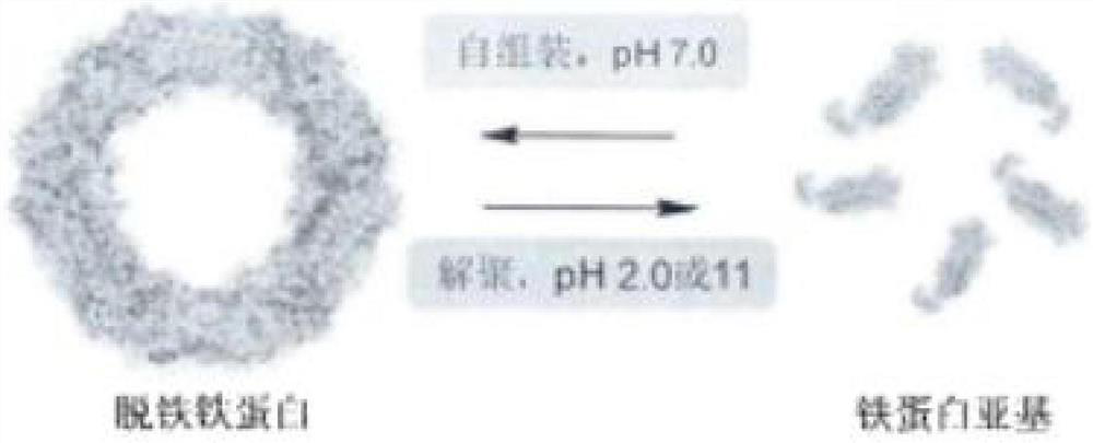 Processing method of multi-nutrient concentrated haw juice