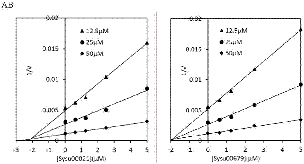 Application of berberine and derivative of berberine as hexosaminidase inhibitor