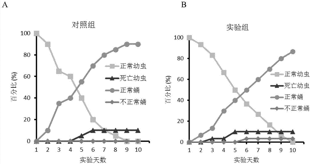 Application of berberine and derivative of berberine as hexosaminidase inhibitor