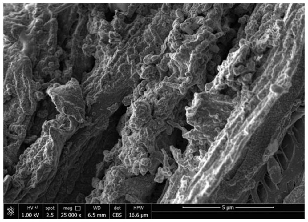 A preparation method and application of phosphorus-accumulating bacteria imprinted biochar