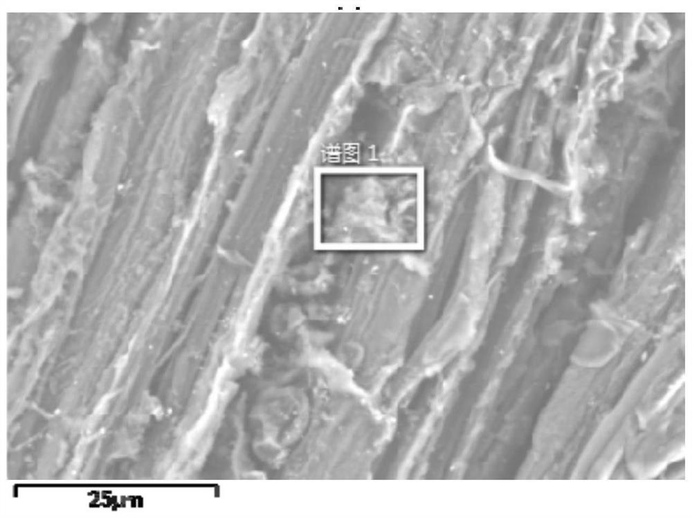 A preparation method and application of phosphorus-accumulating bacteria imprinted biochar