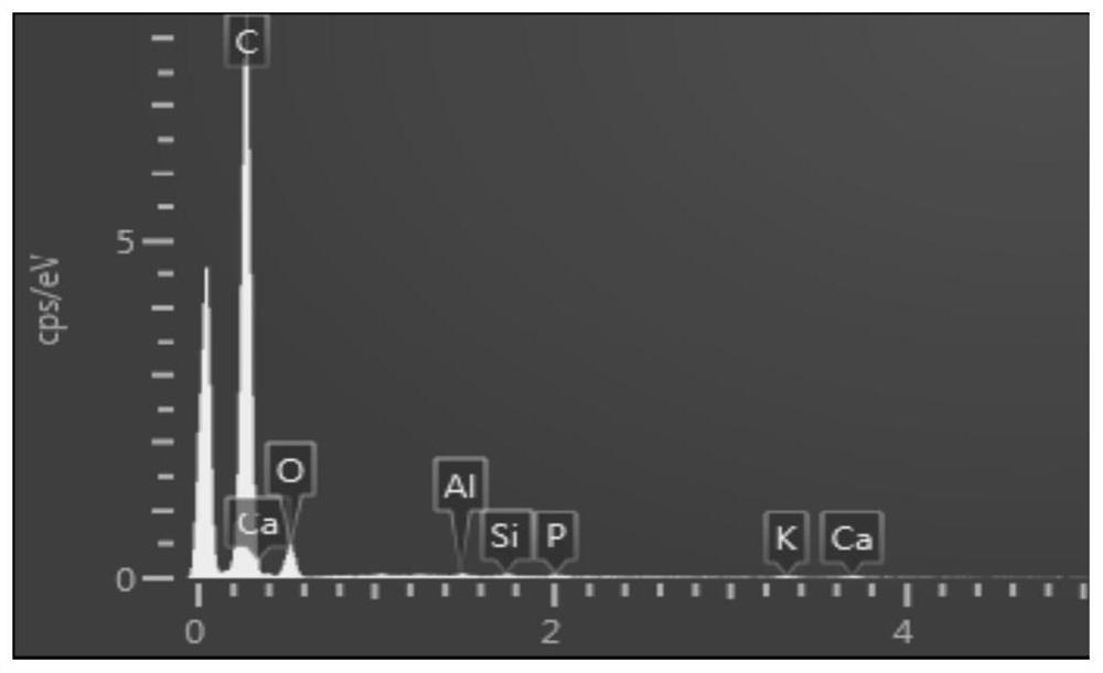 A preparation method and application of phosphorus-accumulating bacteria imprinted biochar