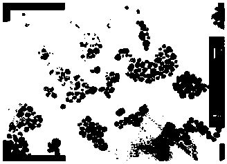 Nanometer ferroferric oxide pigment composition and production method thereof