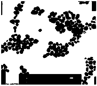 Nanometer ferroferric oxide pigment composition and production method thereof