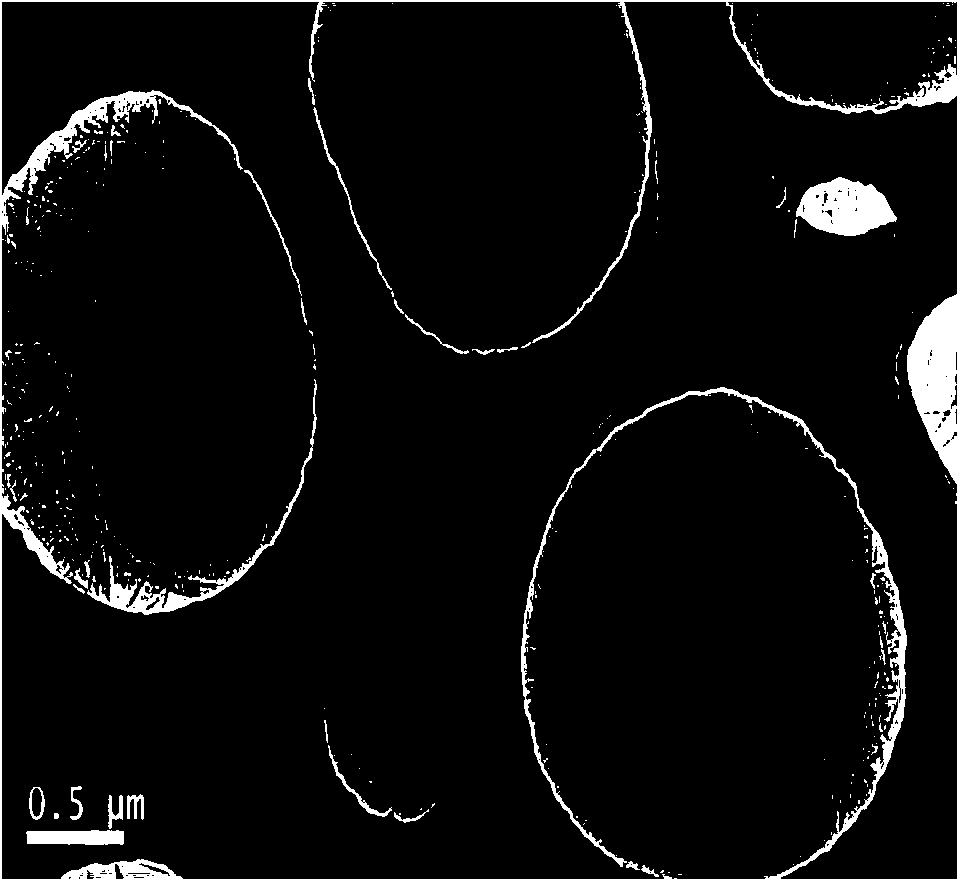 Nitrogen-doped graphene oxide material and preparation method thereof