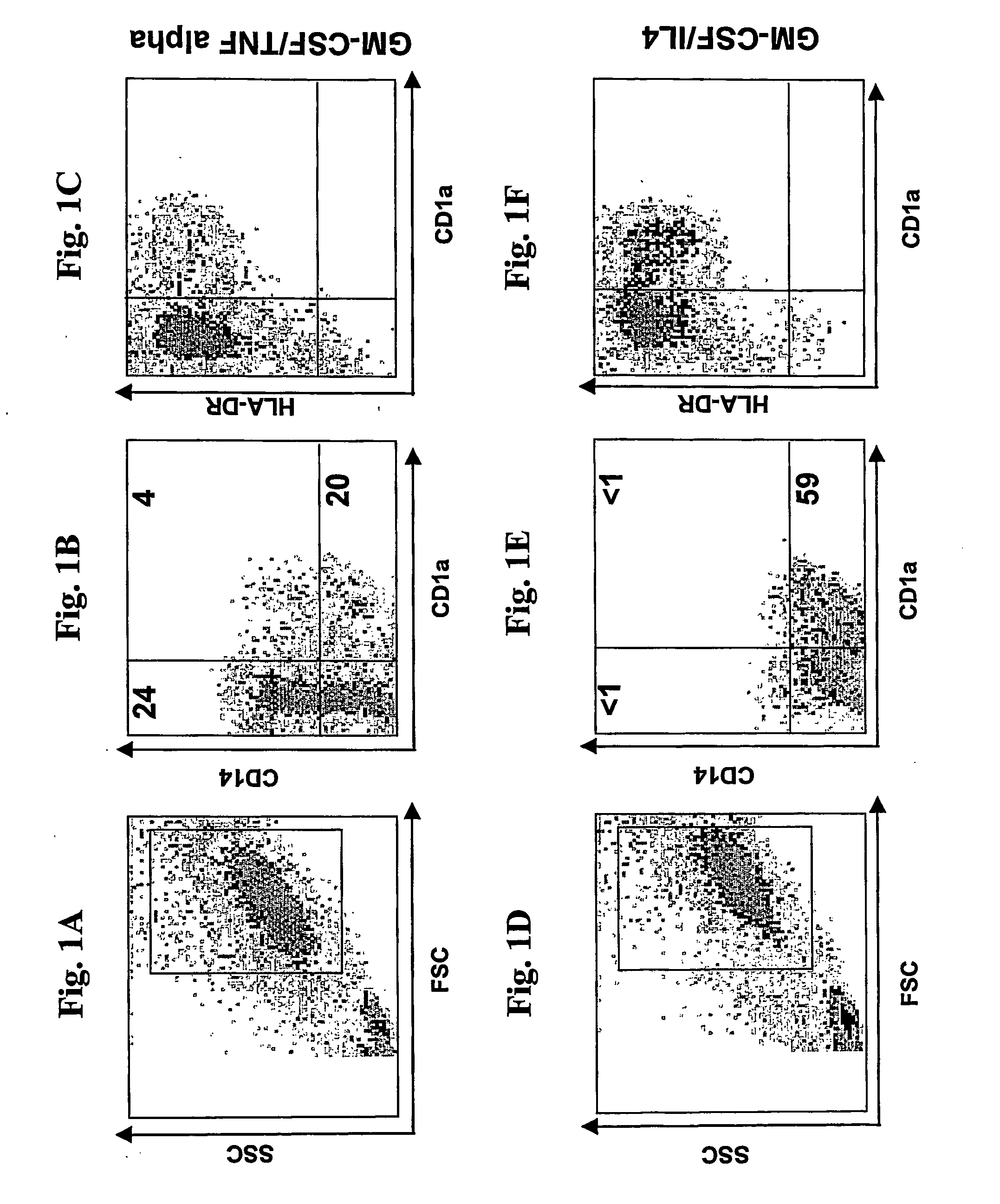 Rapid one-step generation of antigen loaded dendritic cell vaccine from precursors