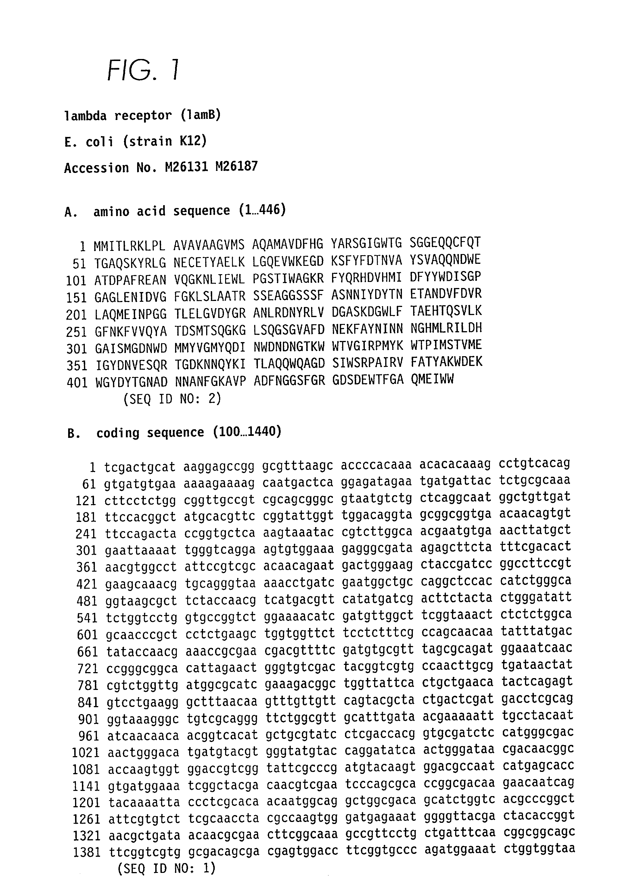 Screening system to identify polynucleotides encoding cleavable N-terminal signal sequences