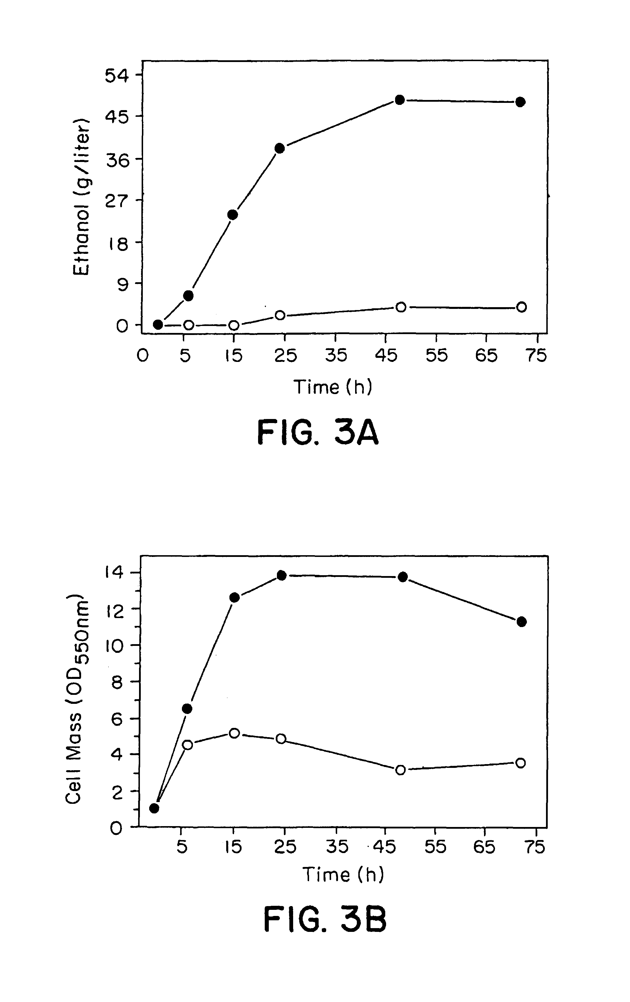 Recombinant cells that highly express chromosomally-integrated heterologous gene