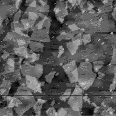 Method for preparing oxidized graphene coated film