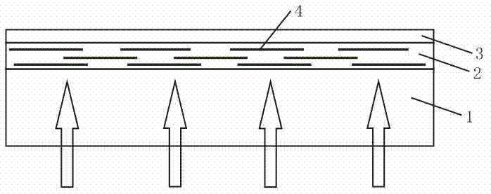 Method for preparing oxidized graphene coated film