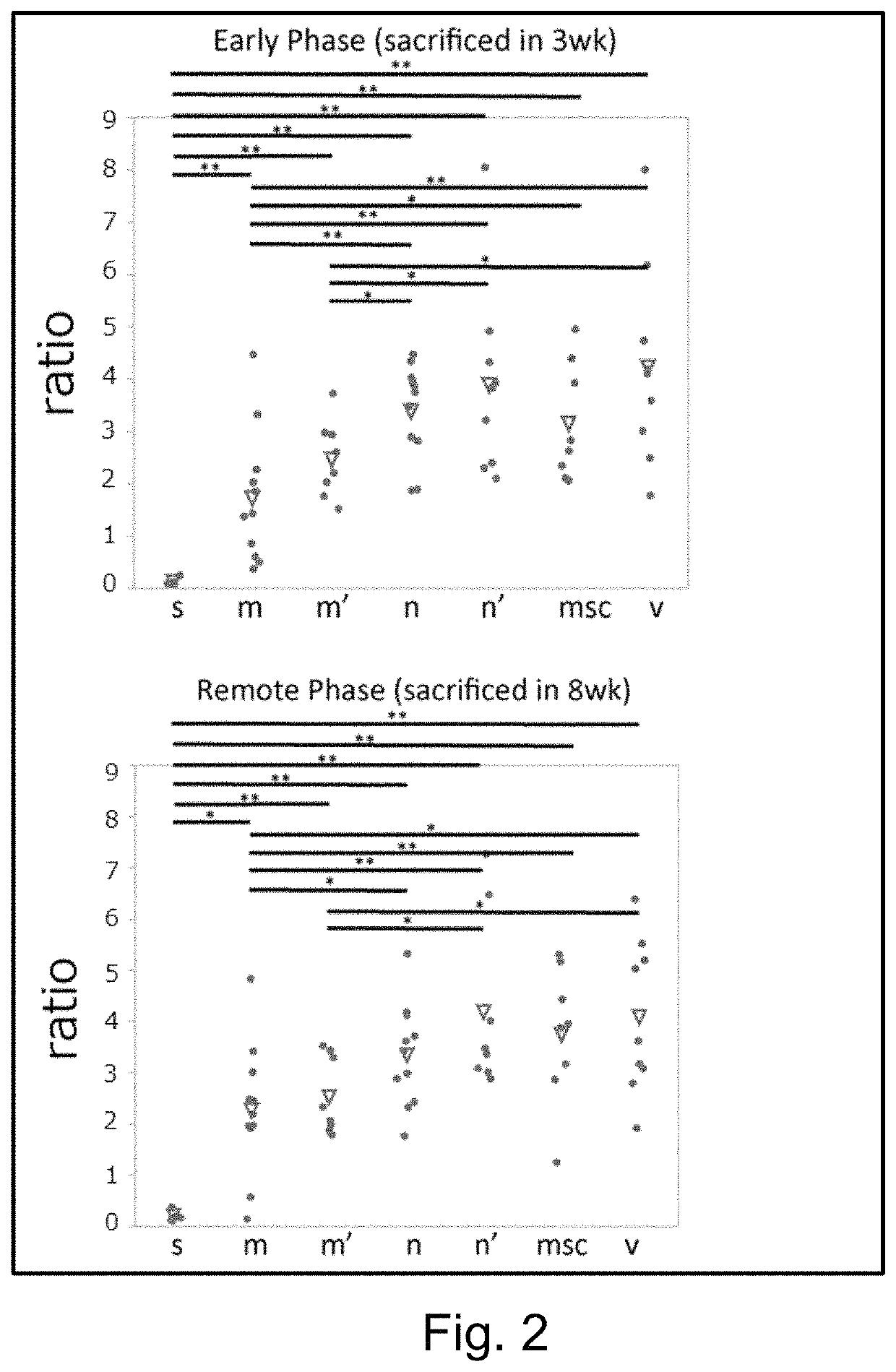 Method of treating aortic aneurysm using muse cells