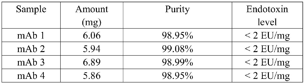 Method for improving purity of bispecific antibody by purification with magnetic beads