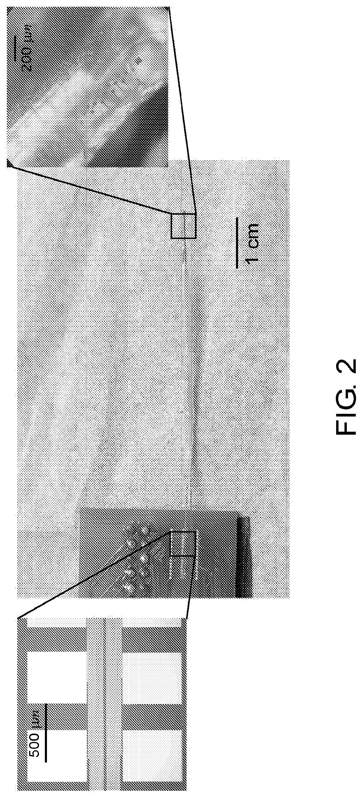 High-density implantable neural probes