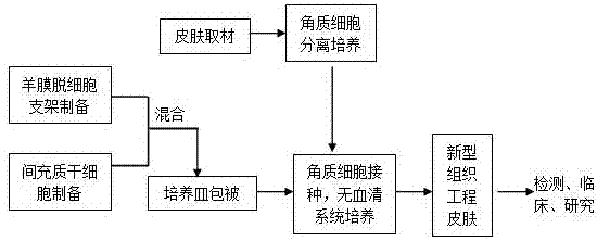 Preparation method of novel tissue engineering skin