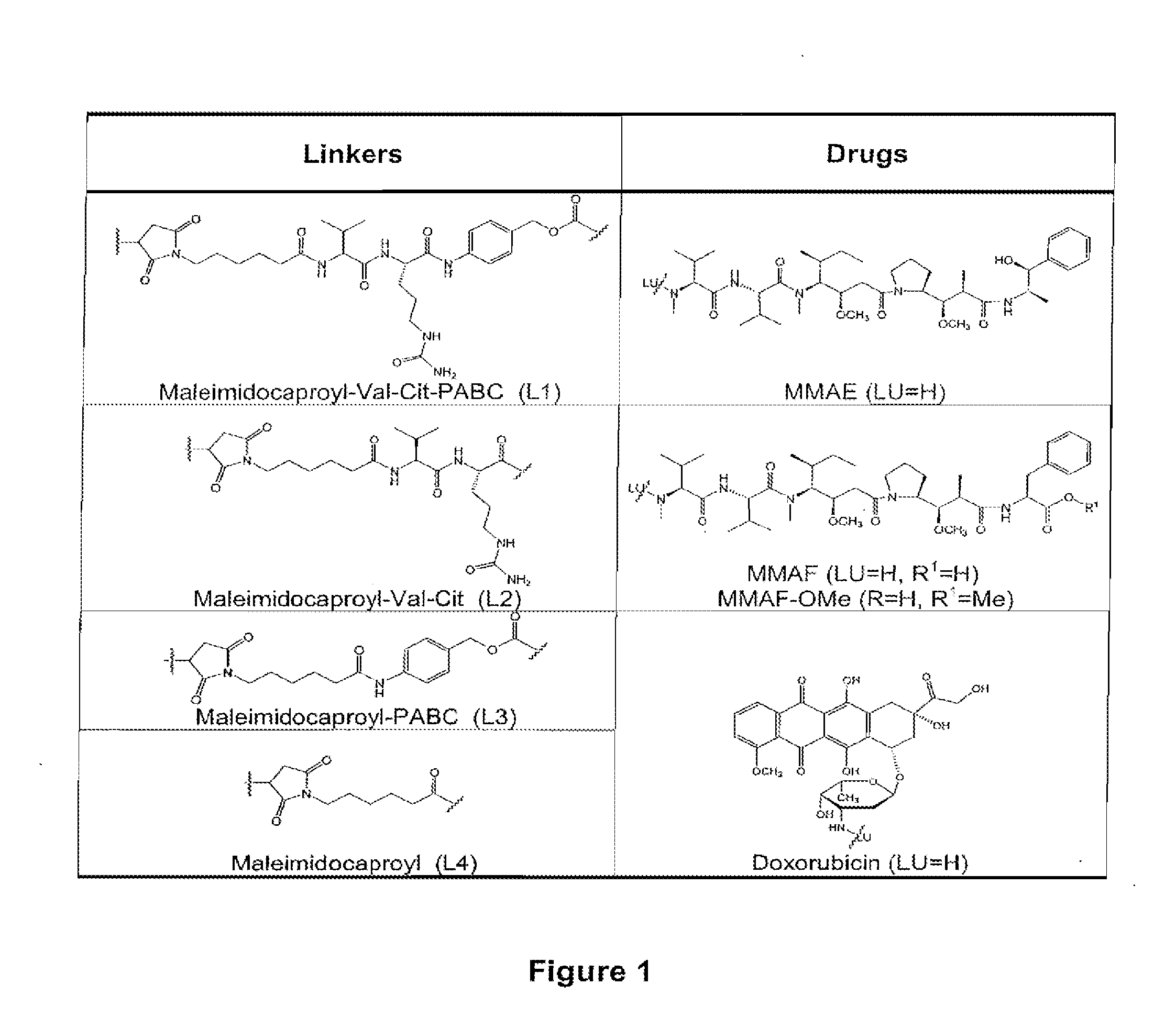 Methods of treating drug-resistant cancers