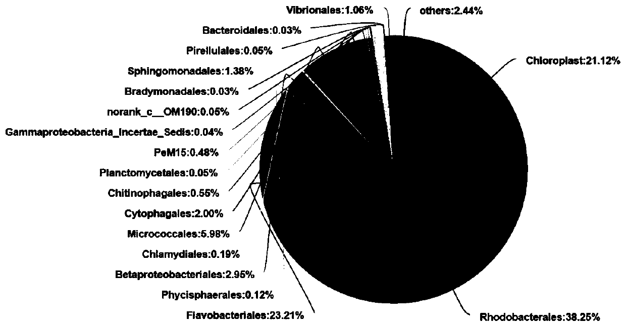 Nitrifying bacteria and photosynthetic bacteria symbiotic prawn culture tail water treatment system