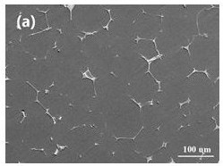 Low-rare-earth high-strength wrought magnesium alloy containing neodymium and yttrium and preparation method of low-rare-earth high-strength wrought magnesium alloy