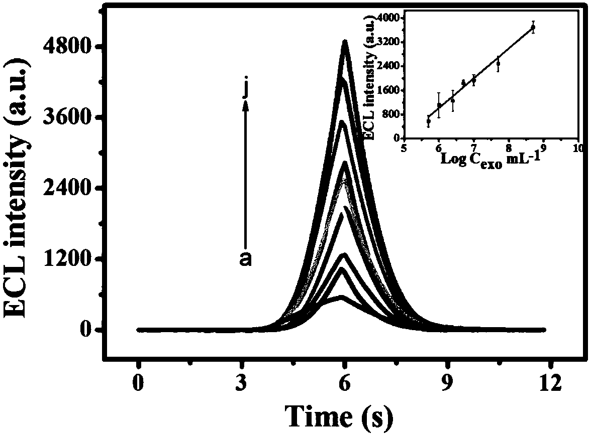 Biosensor based on Ti3C2 two-dimensional metal carbide catalyzed luminol electrochemiluminescence probe and preparation method thereof